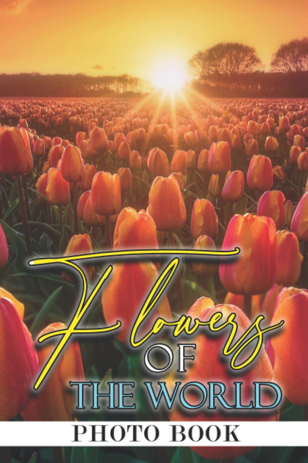 Flowers Of The World Photo Book: Gorgeous Blossom Colorful Pictures For All Ages To Have Fun And Relax