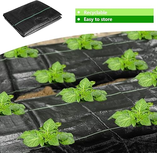 Miniatura 7 de CODREE 2 barreras resistentes para el control de malezas de jardín, tela de paisaje de 33 x 3.3 pies con agujeros de plantación, alfombrilla de