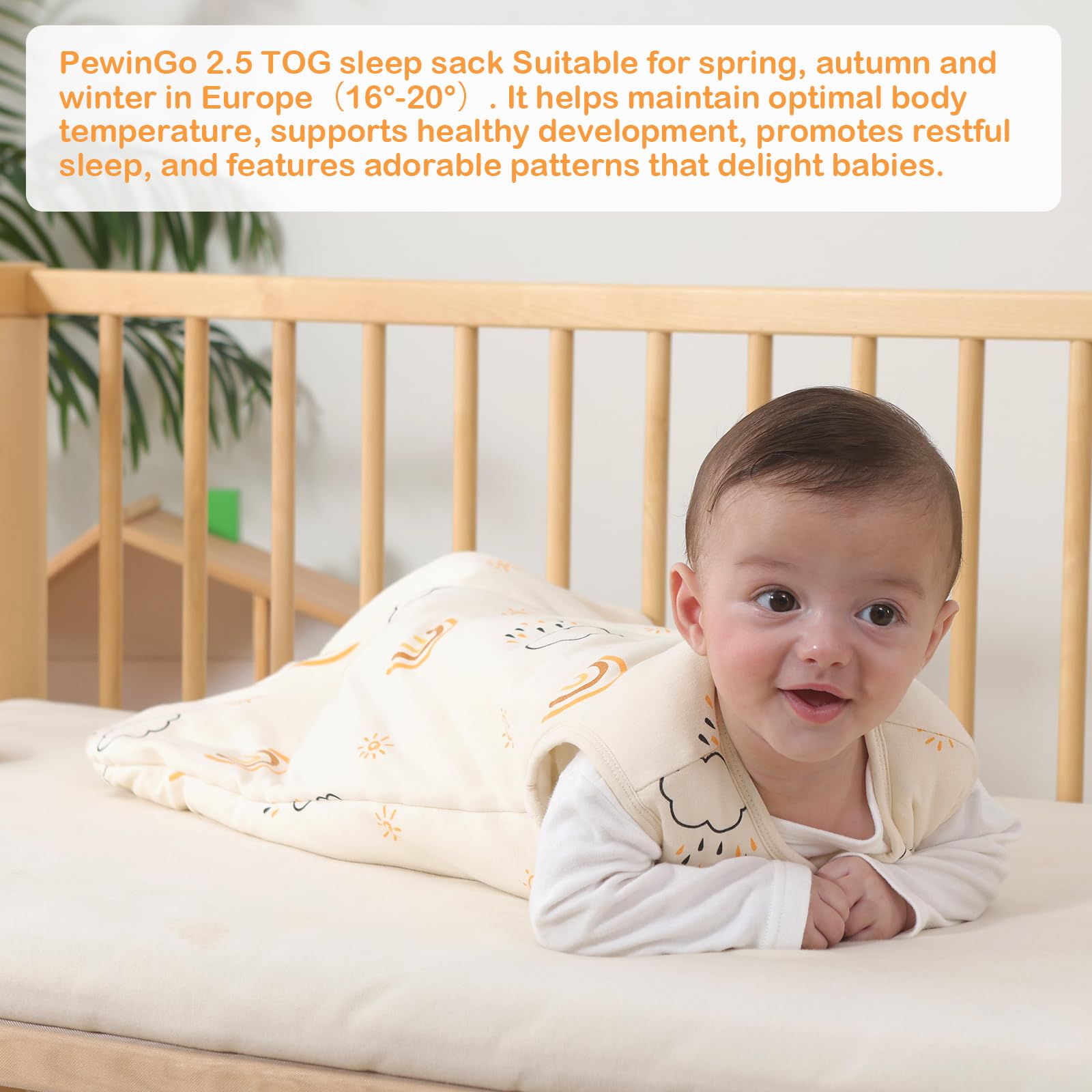 PewinGo Sacco Nanna Neonato 2.5 TOG 0-6 Mesi | Fibre di Cotone e Poliestere| Coperta Indossabile con Doppia Cerniera | Morbido, Delicato Sulla Pelle & Lavabile in Lavatrice