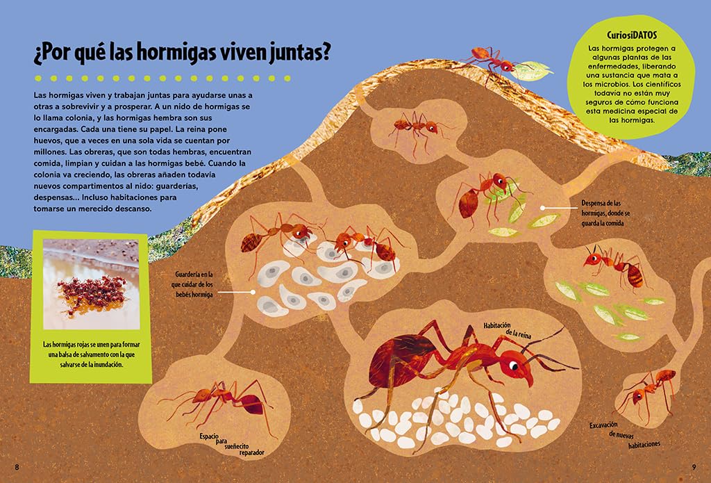 El gran libro de los grandes PORQUÉS: El libro de preguntas y respuestas definitivo para resolver todos los porqués (No ficción ilustrados)