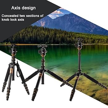 Nikon 一眼レフカメラ + レトロ三脚 ニコン (SD・三脚等6点セット)(新品) Nikon コンパクトデジタル