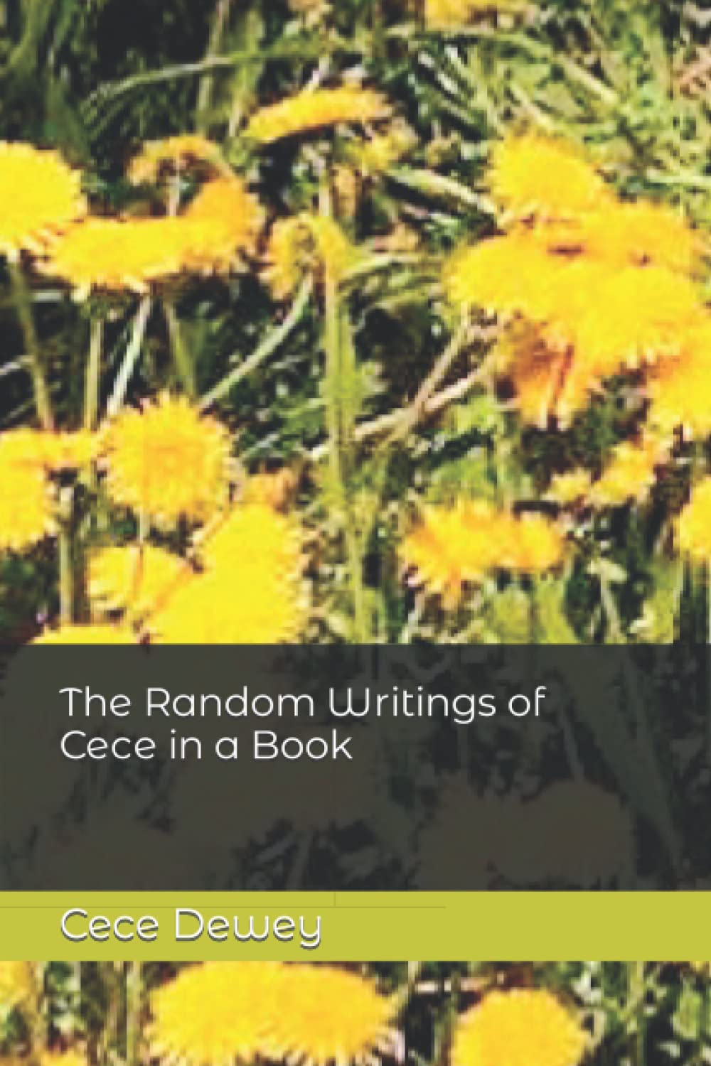 The Random Writings of Cece in a Book