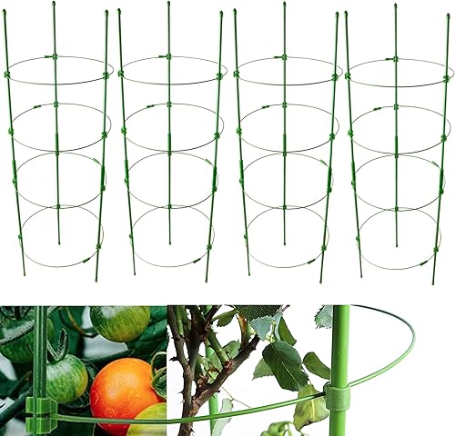 Jaula de tomate ajustable para soporte de plantas de 36 pulgadas, enrejado de pepino de jardín, estaca para plantas con 4 anillos ajustables,