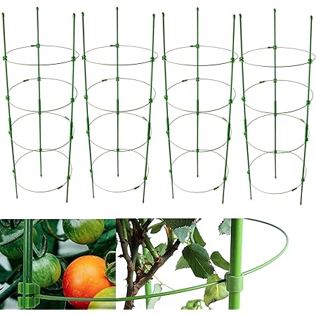 Adjustable Tomato Cage Plant Support Cages 36 inches Garden Cucumber Trellis，Plant Stake with 4 Adjustable Ring, Support Rings for Vegetables，Flowers，Fruit，Rose Vine Climbing Plants （4 Pack ）