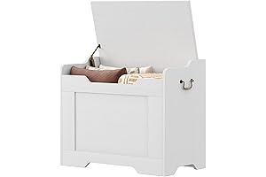 Kids Large Storage Chests and Trunks Toy Box