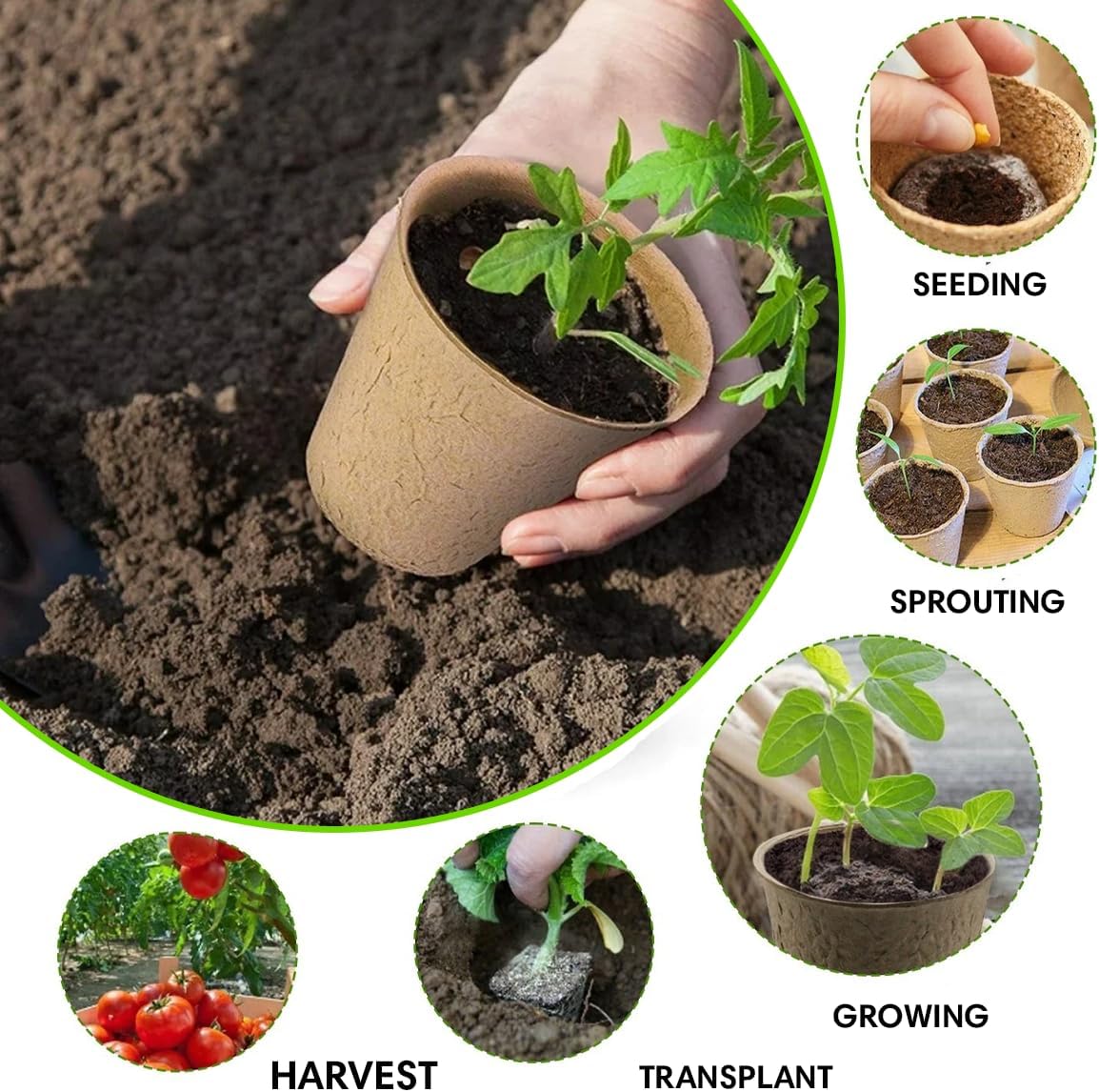 Seedling Starter Kit Germination Grow Cups and Soil (10 Pack) Biodegradable Peat Pots, Coco Coir Soil Discs, Plant Markers - Organic Grow Kit for Seed Germination, Indoor/Outdoor (3)