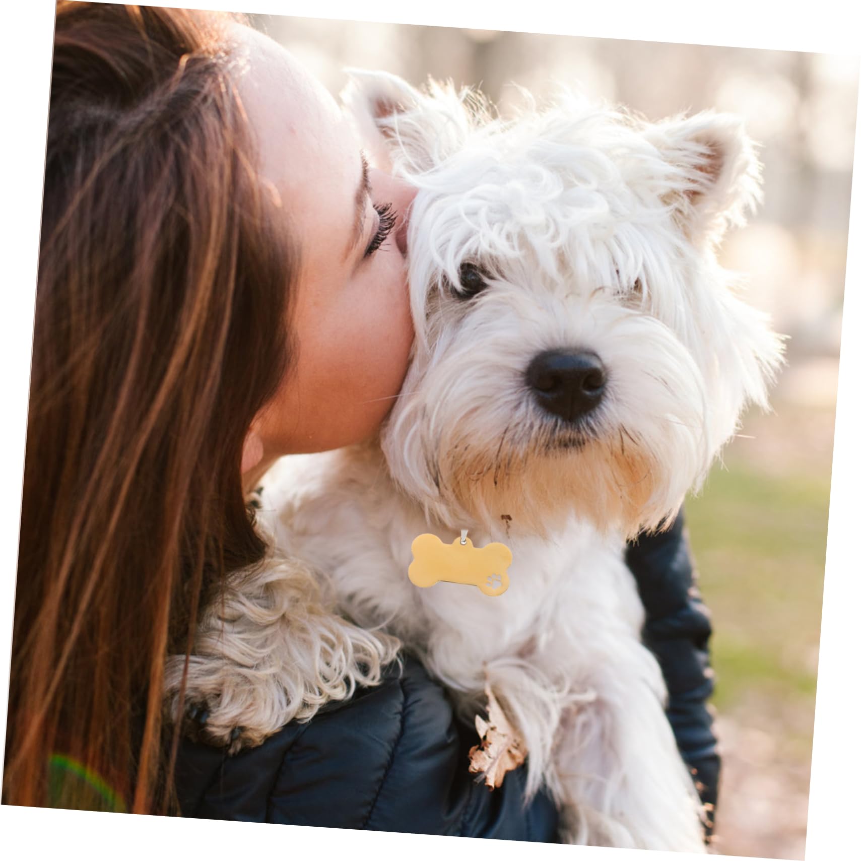 Mipcase 15pezzi Medagliette Inossidabile Per Targhette Per Domestici Incisione Personalizzata Accessori Per Pet