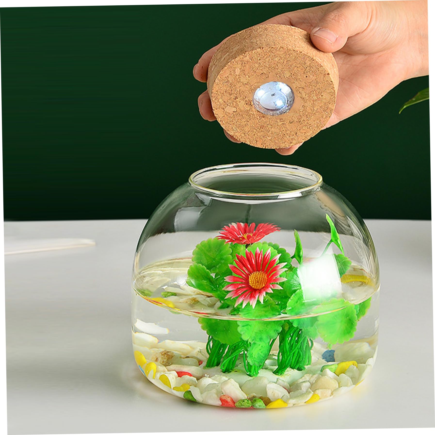 Terrario de vidrio Terrario de vidrio para plantas terrario para plantas de 1600 ml con tapa de corcho frasco de terrario de gran apertura para mini suculentas construcción de paisajes