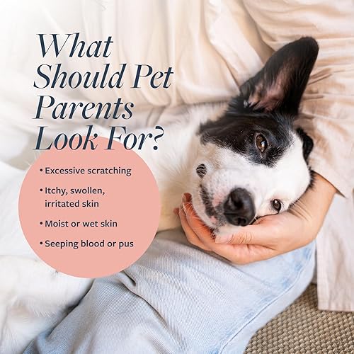 Miniatura 7 de Veterinary Formula Tratamiento clínico para el oído, 4 onzas y cuidado clínico Hot Spot & Itch Relief Medicated Spray