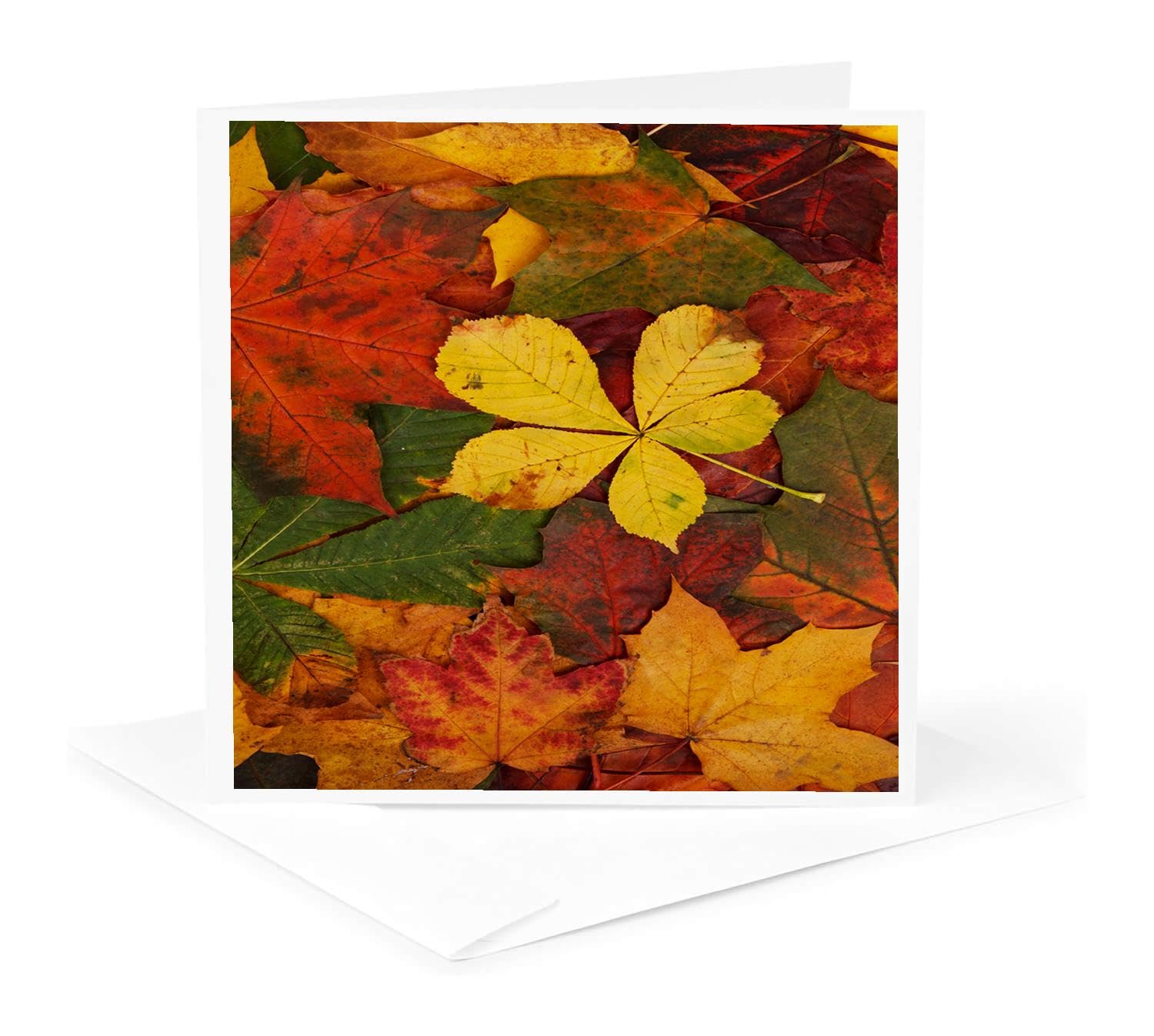 3drose 'Autumn Leaves Thank You' Grußkarten, Set Mit 12 Karten & Umschlägen