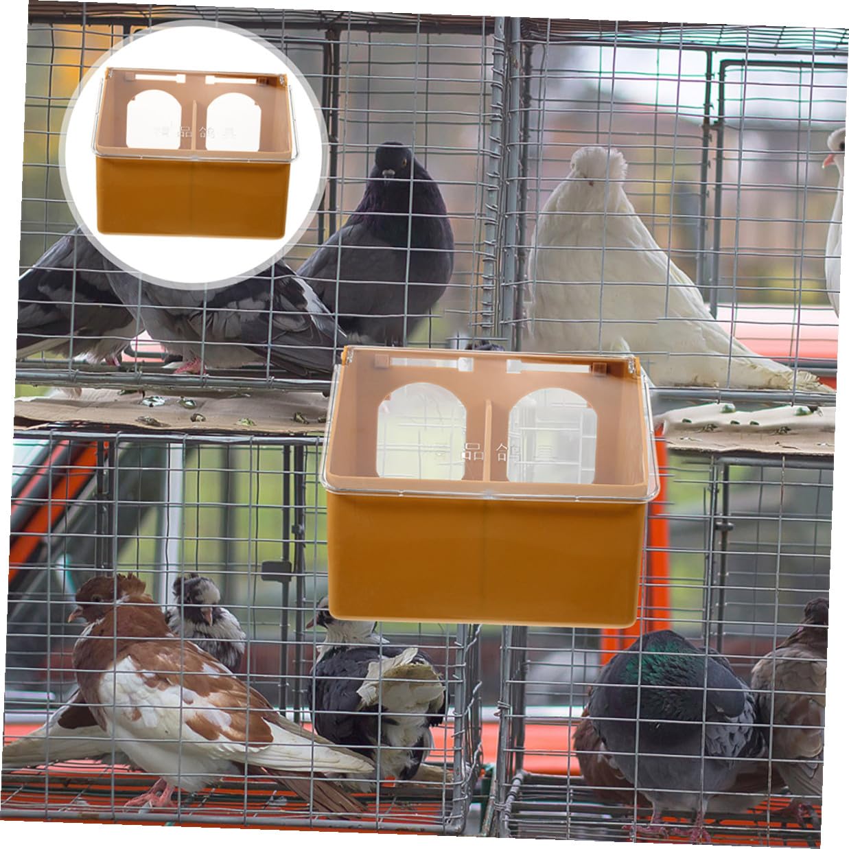 DECHOUS 3 pièces Mangeoire Oiseaux Suspendue avec Compartiments Doubles Distributeur Nourriture pour Perruches et Calopsittes Facile à Installer Cage Design Compartimenté Anti-conflit