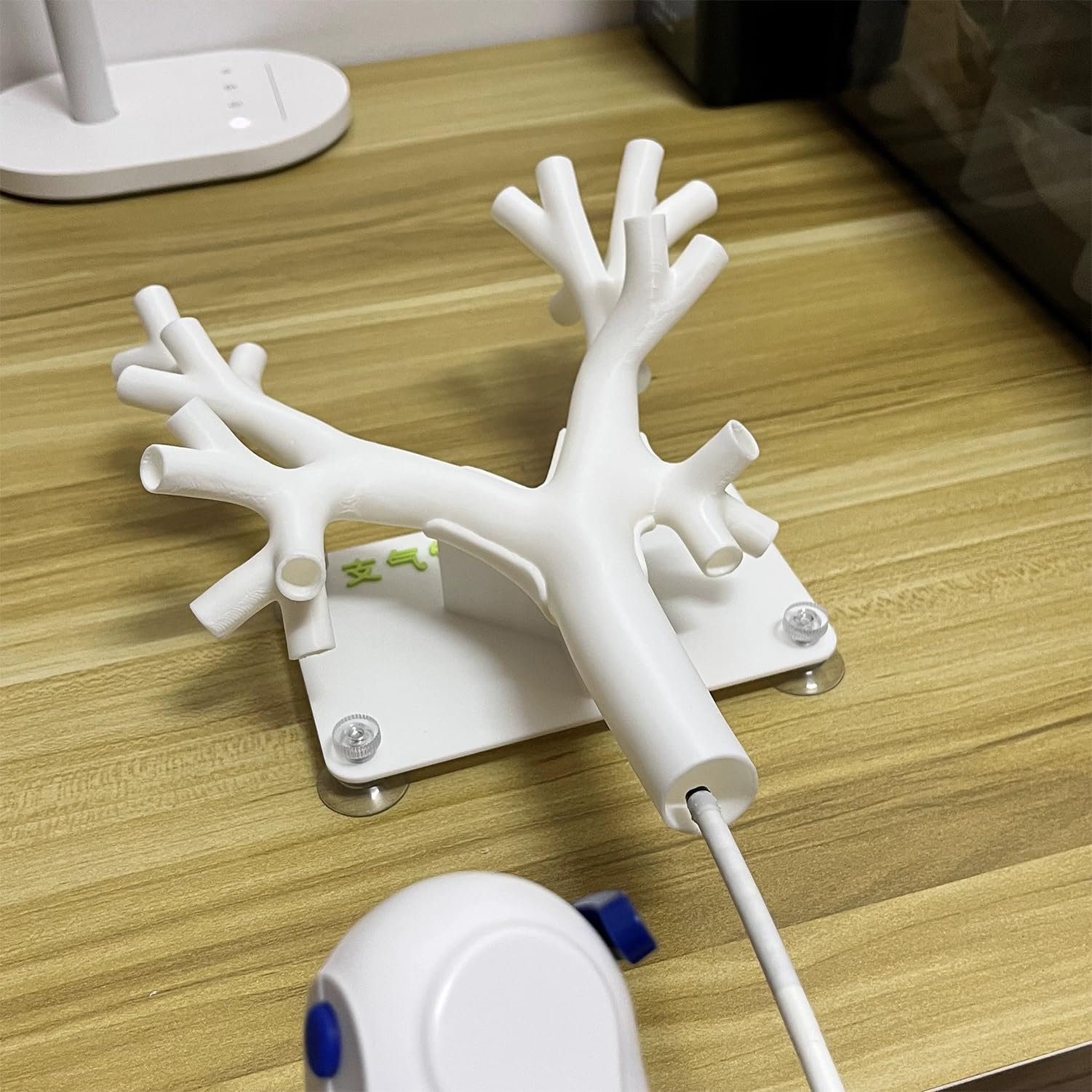 Menschliches Bronchialbaum Trainings Modell für Medizinstudenten Soft Mirror Practice, lebensgroß