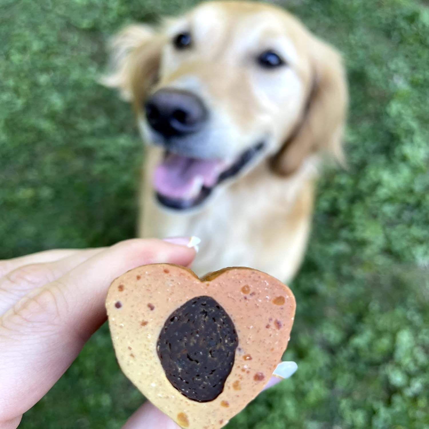 Best Bully Sticks Love Bones - 12 Count (Pack of 1) | Heart-Shaped Chicken Chews for Dogs | Rawhide-Free Dog Treats | High Protein | Easy to Digest | Chew Sticks for Small, Medium, Large, Puppy