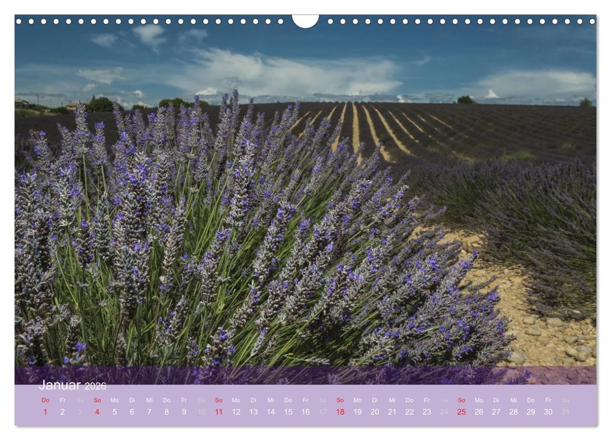 Die Farbe des Lavendels (Wandkalender 2026 DIN A3 quer), CALVENDO Monatskalender: Lavendel der Provence (CALVENDO Natur)