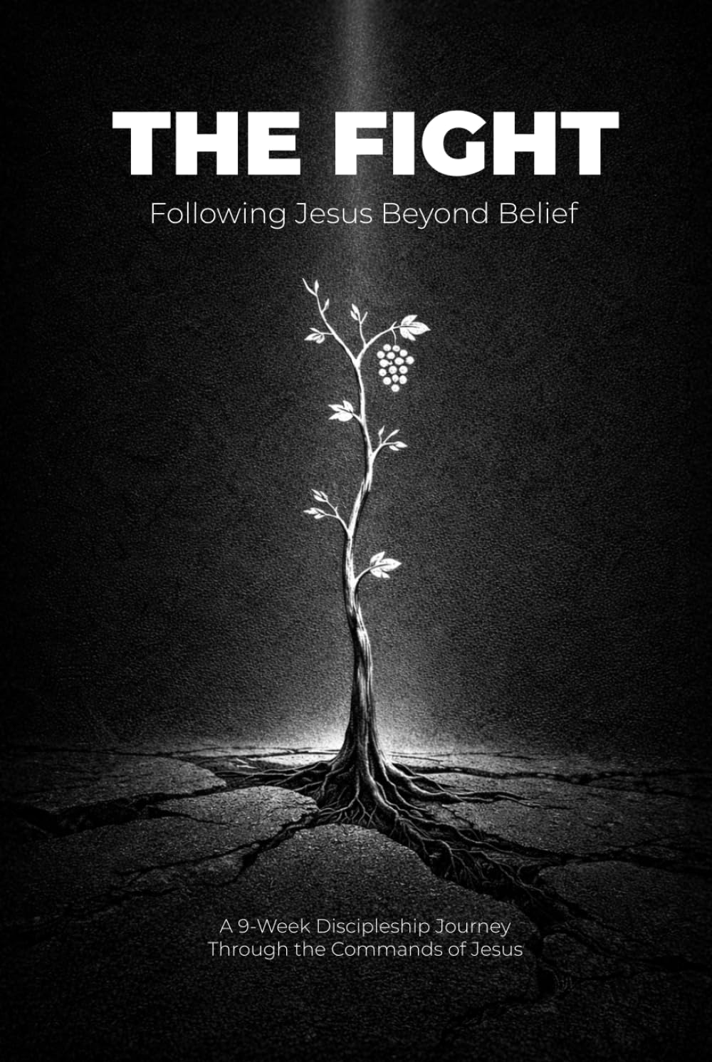 The Fight: Following Jesus Beyond Belief (The Discipleship Journey)