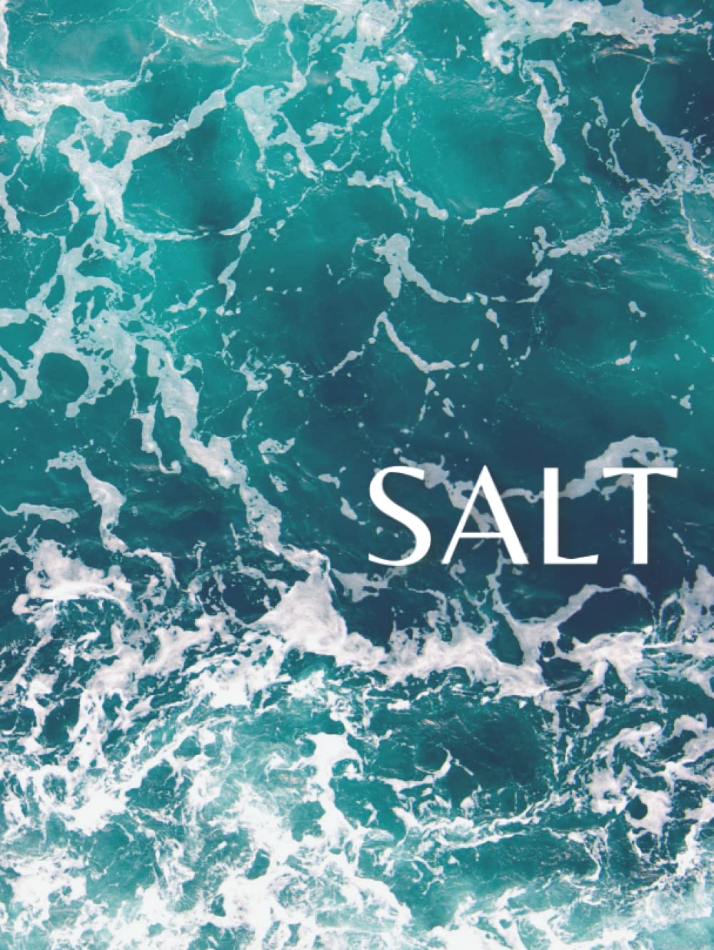 Salt: Decorative Stacking Book for Coffee Tables & Bookshelves | Perfect for Coastal Themed Home Décor Interior Design & Staging (Beach House Series)      Hardcover – June 10, 2022