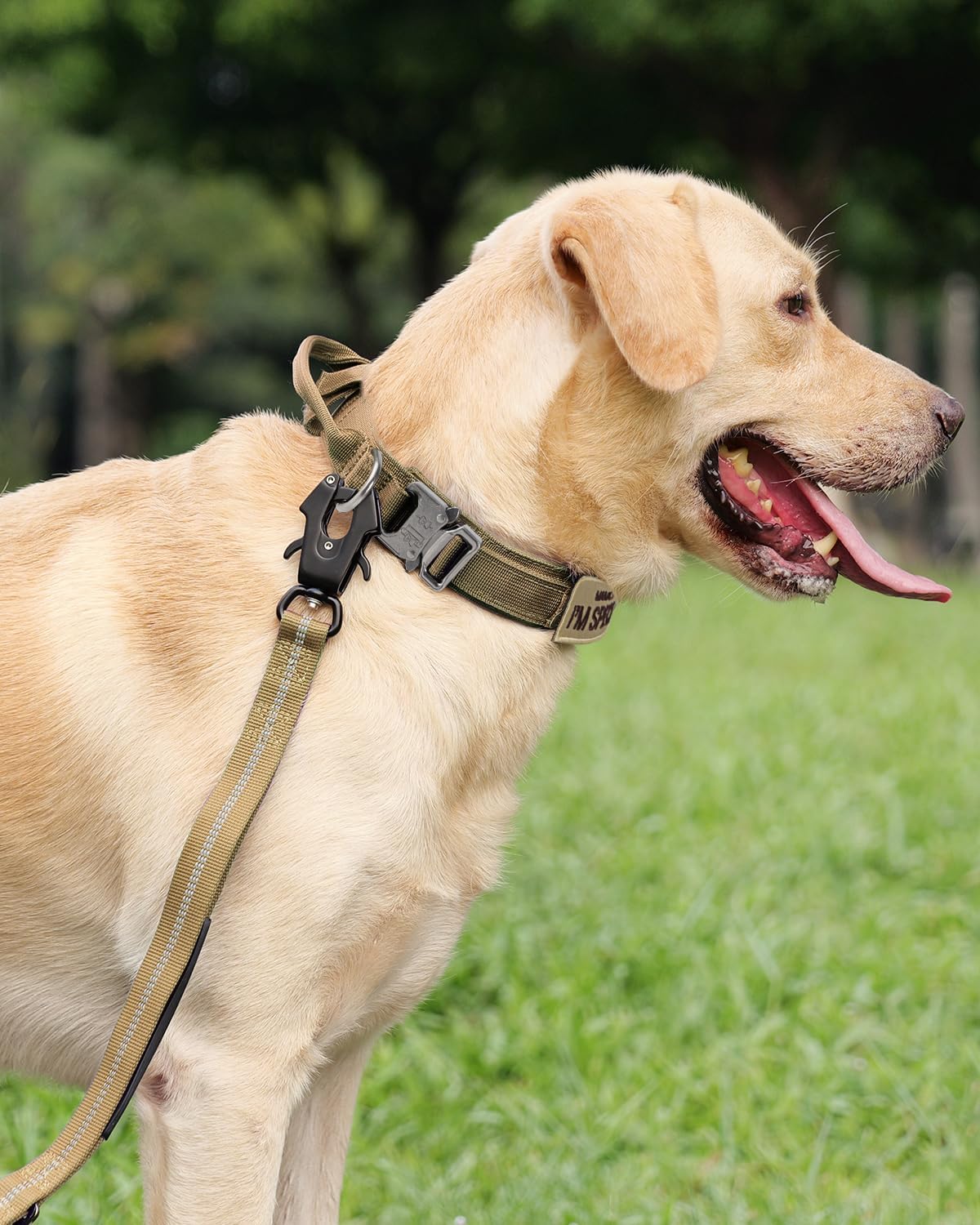 Joytale Tactical Dog Collar and Leash Set, Adjustable Strong Collar with Handle and Shock Absorbing Bungee Leash for Extra Large Dogs (20"-24", Khaki, XL)