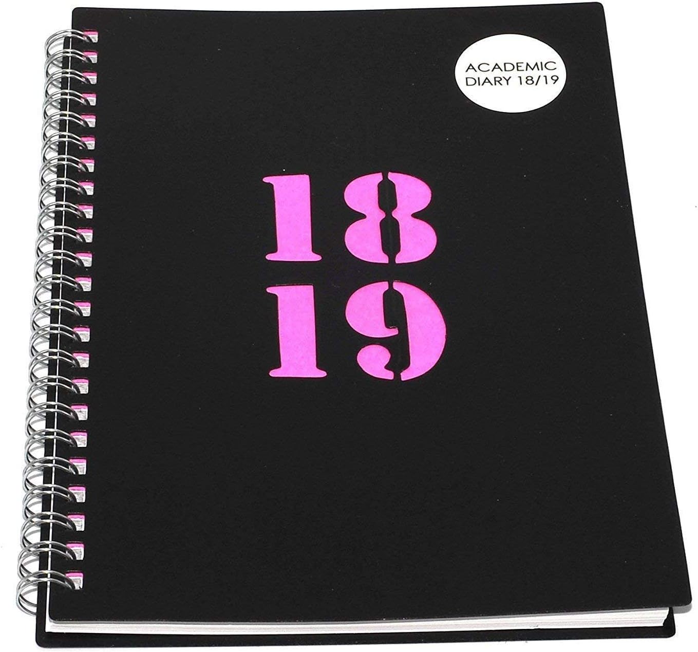 HIGH Quality Pink A5 Day Per Page Academic Diary 2018-2019