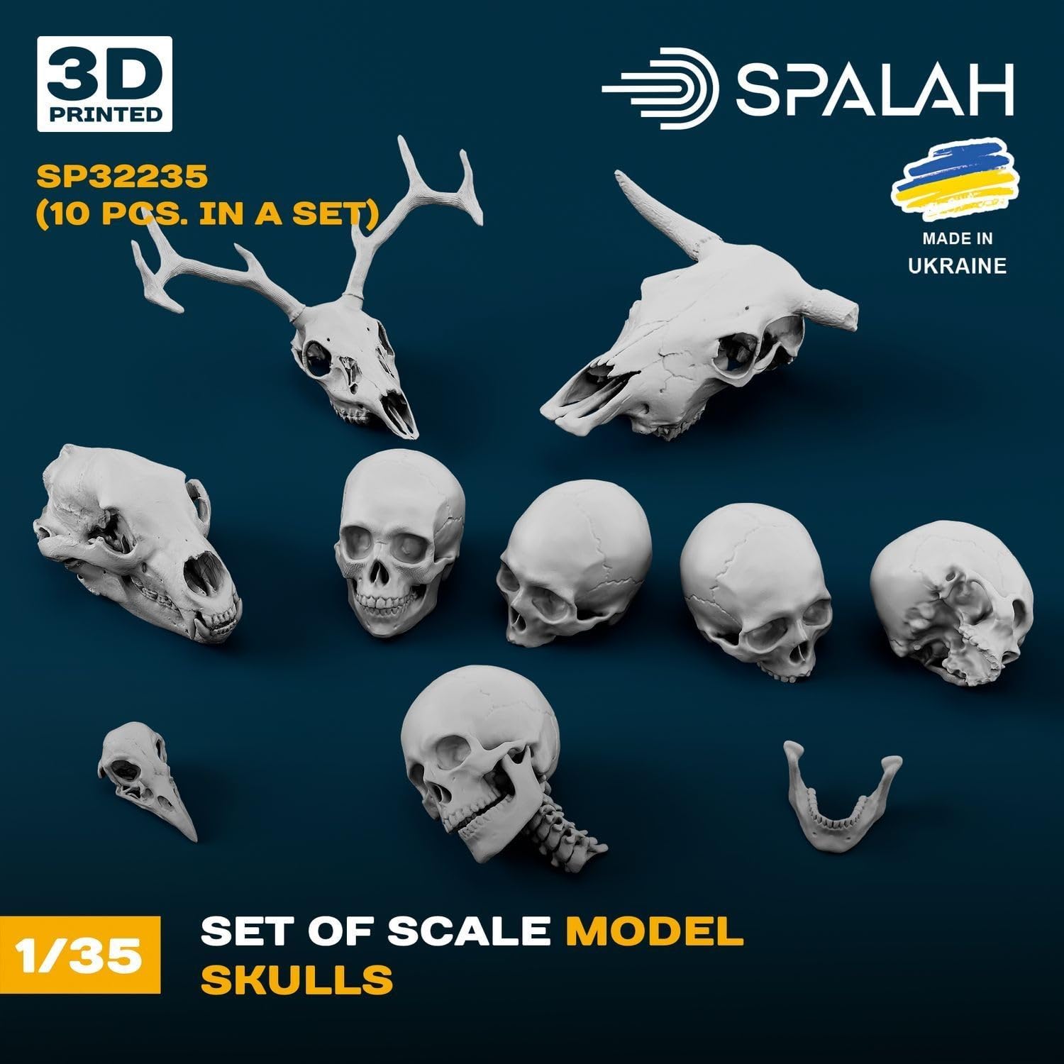 Amazon | スパラッハ 1/35 頭蓋骨セット (5種・10個入) 3Dプリンター製