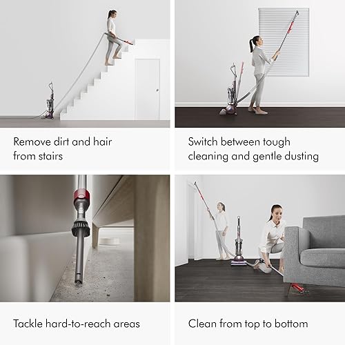 Miniatura 7 de Dyson Ball Animal 3 Aspiradora vertical (níquel)