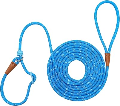 WYuZe 12FT Long Slip Lead Training Leash for Small Dogs, 1/4 Puppy Rope