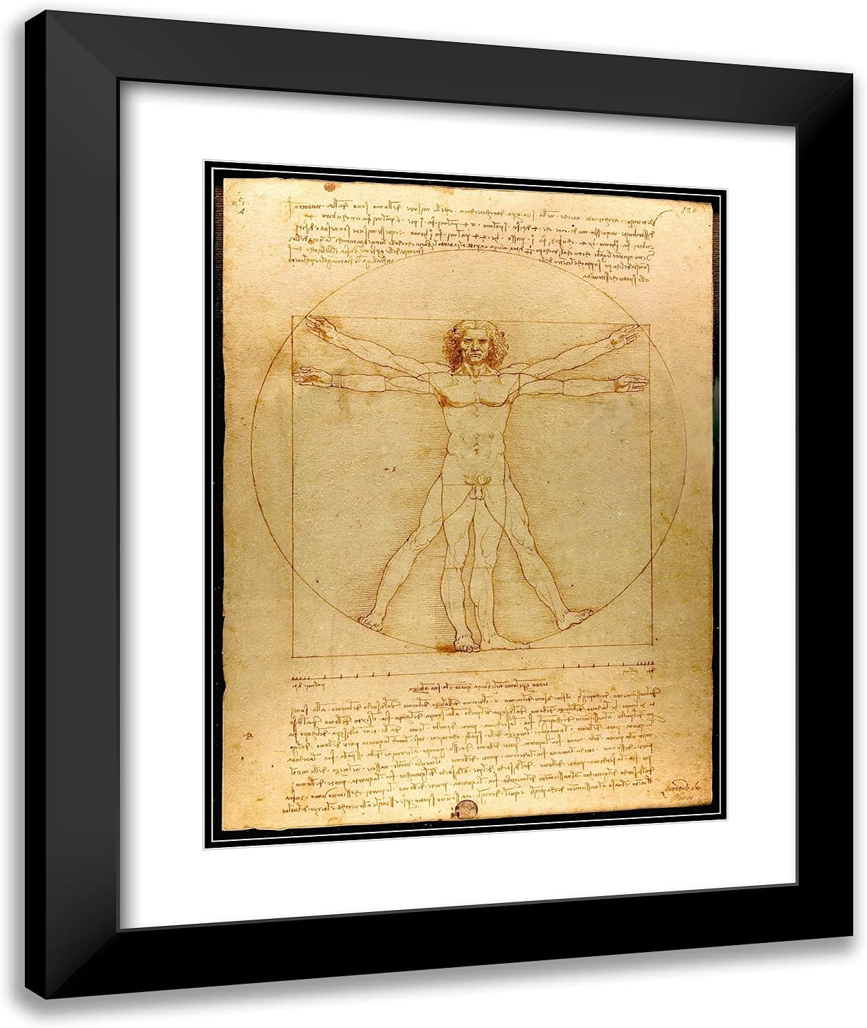 ArtDirect Da Vinci, Leonardo 20x24 Gold Ornate Framed Art Print with Double Matting Titled: Vitruvian Man I