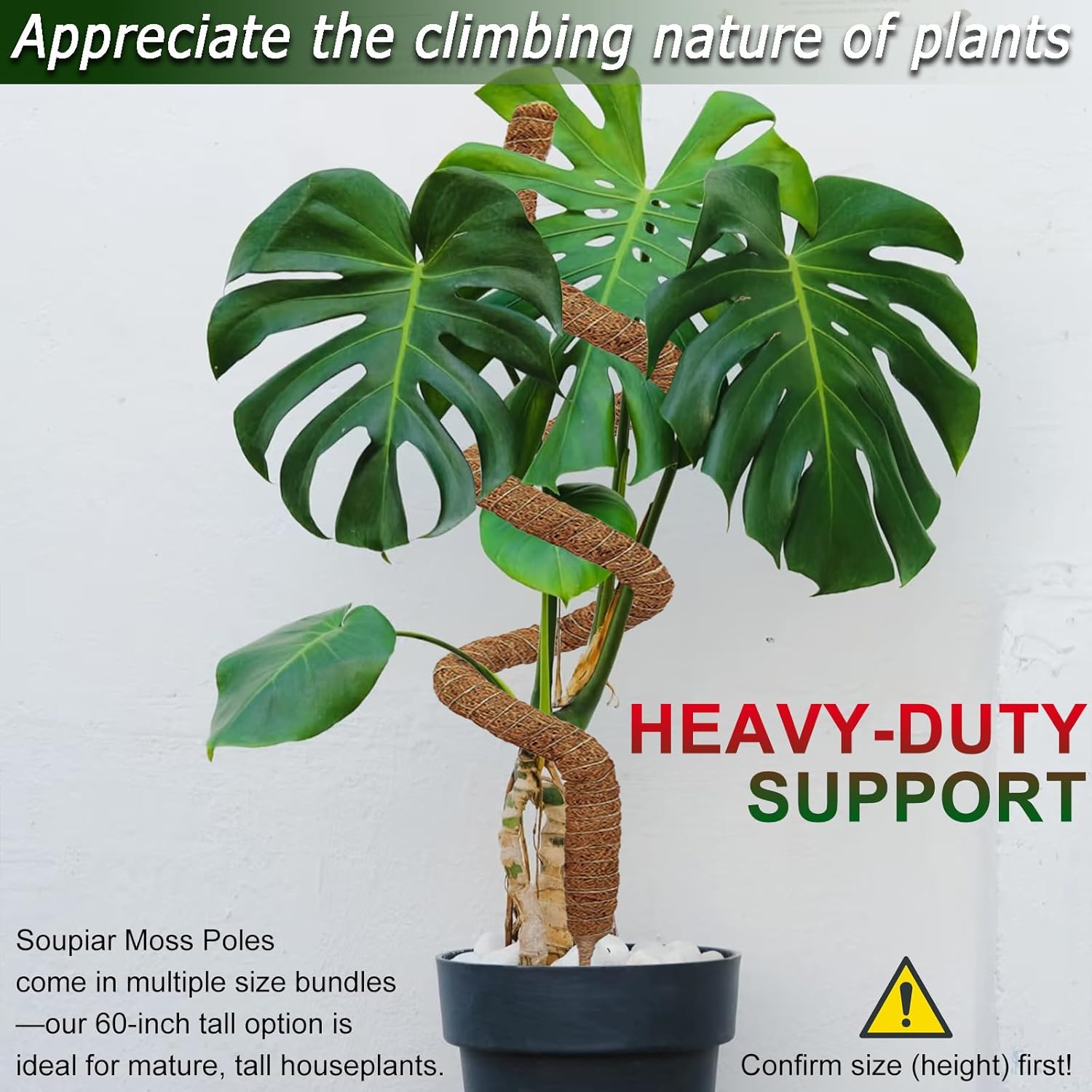 Soupiar 2 Pack 60'' Bendable Moss Pole for Monstera & Pothos - Tall Handmade Coco Coir Plant Support Stakes for Large Climbing Indoor Plants, Potted Houseplant Trellis Accessories