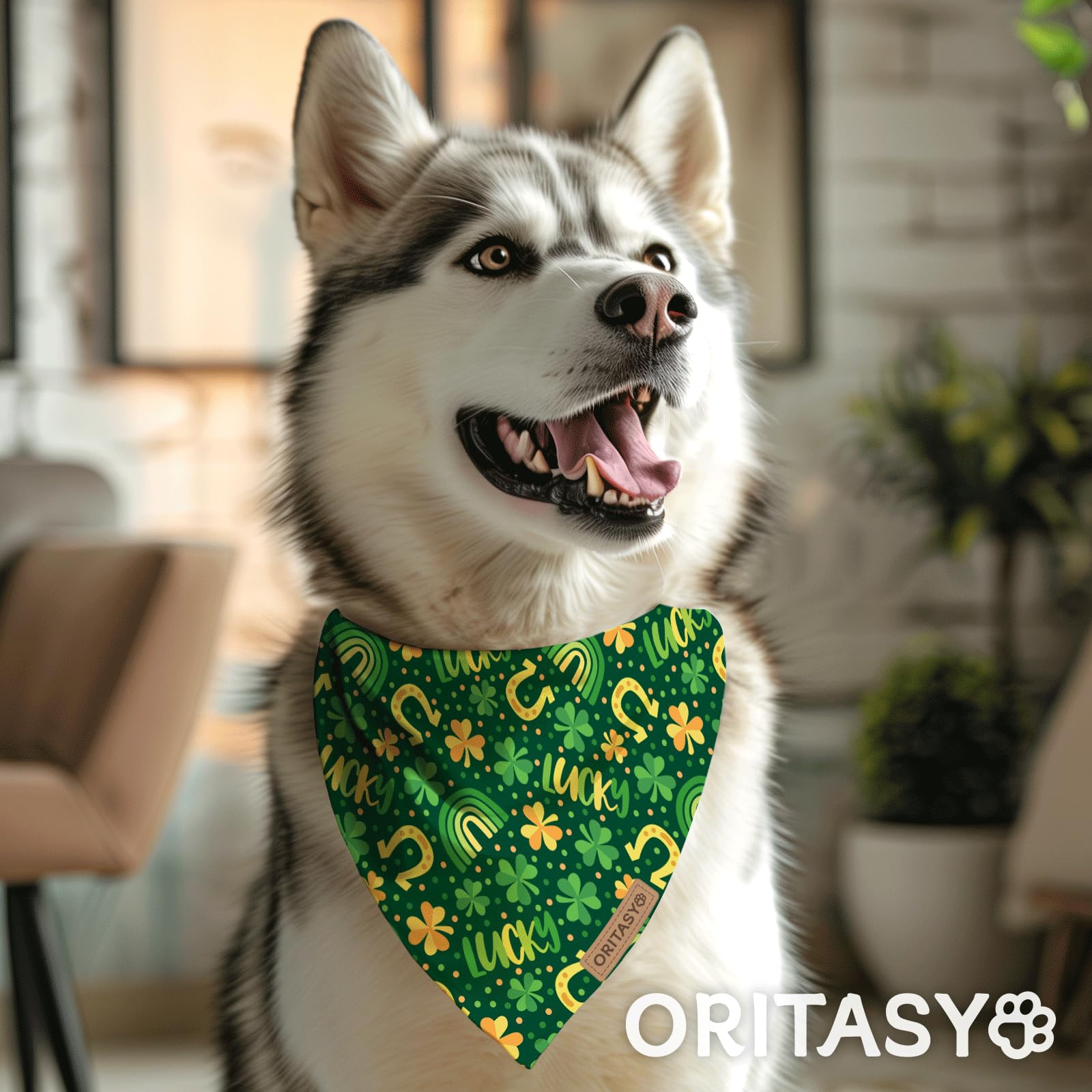 Pañuelos para perros del Día de San Patricio, paquete de 2 bufandas triangulares reversibles para mascotas, tela premium, bandana irlandesa para todos los perros (S, estilo 1)