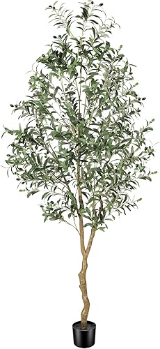 Miniatura 8 de Olivos artificiales para interiores de 6 pies  Árbol de olivo sintético con tronco de madera realista y hojas y frutas realistas, árbol de olivo