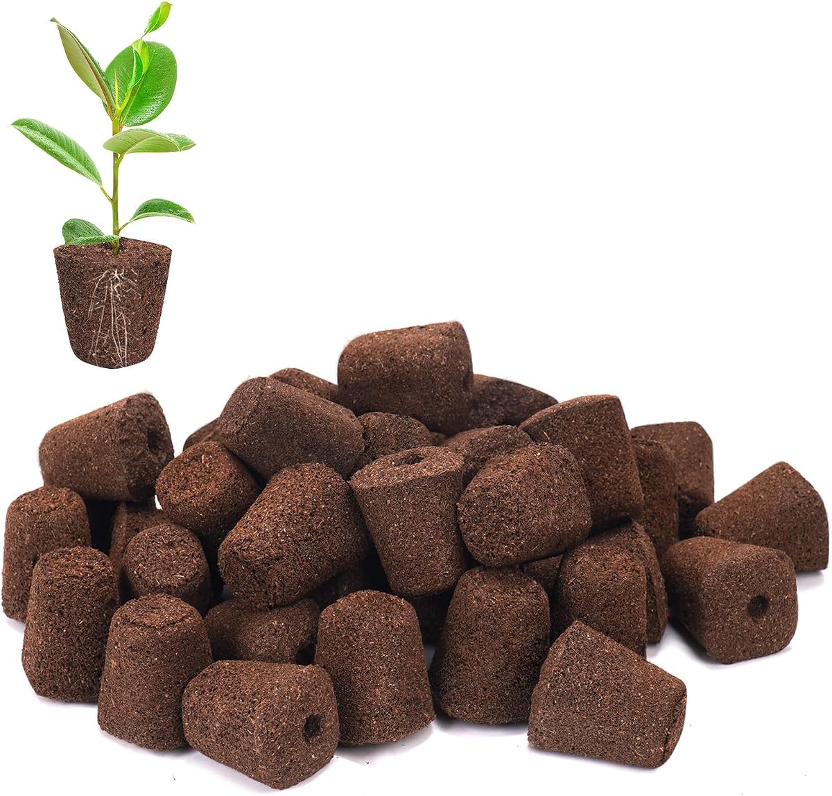 50 Pcs Seed Starter Plugs,Replacement Root Grow Sponges Plant Plugs,Great for Soil, Tray or Planting Pods, Promotes Herbs, Vegetables and Flowers Growth