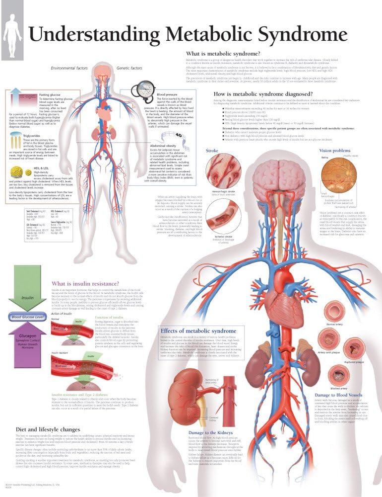 Metabolic Syndrome chart: Wall Chart