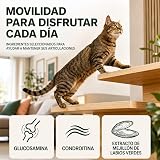 Ver la foto 7