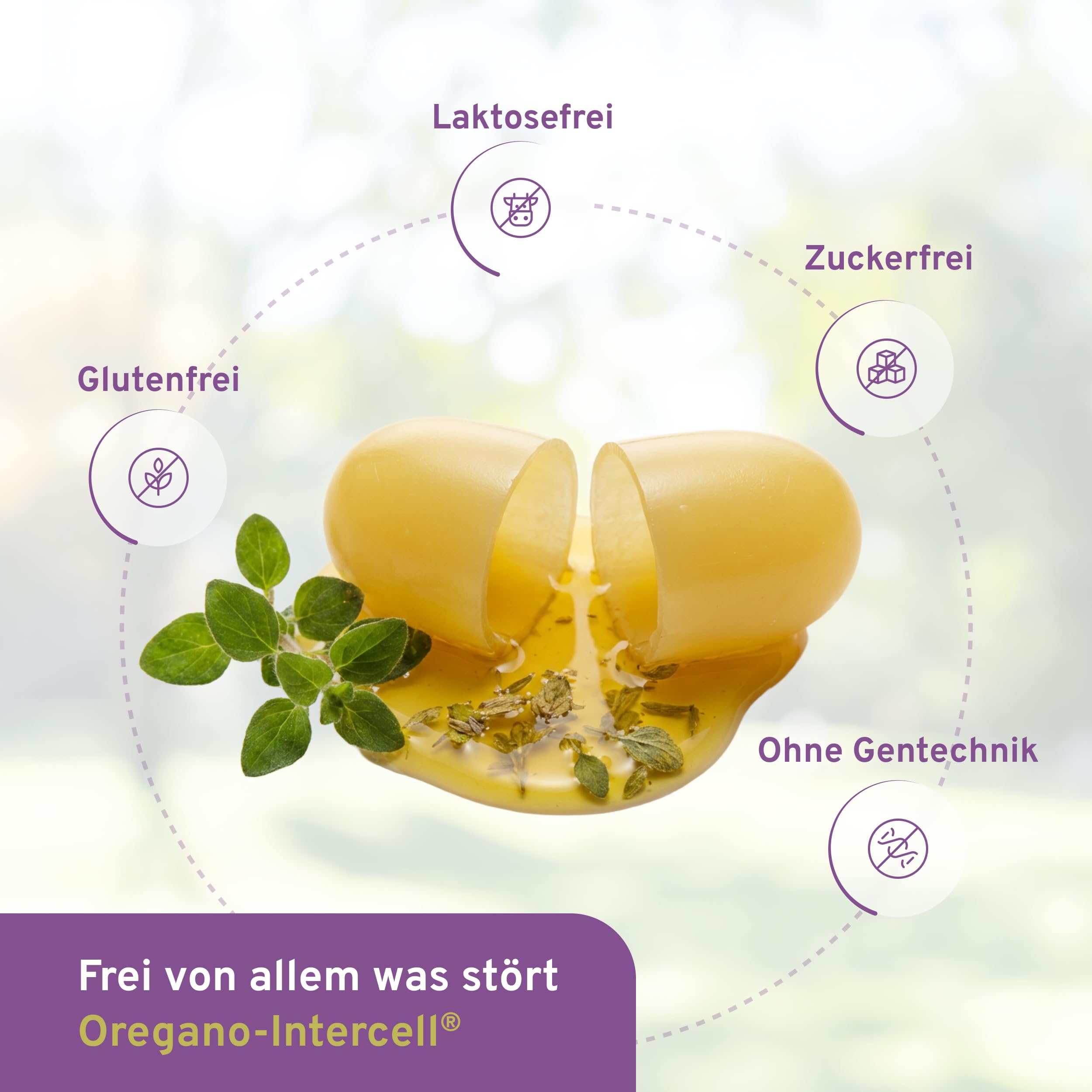 Oregano Öl hochkonzentriert und magensaftstabil (60 Kapseln) - 150mg Carvacrol +Vitamin D3 + Biotin - ohne Lösungsmittel für optimale Verträglichkeit - gultenfrei & lactosefrei - Intercell Pharma