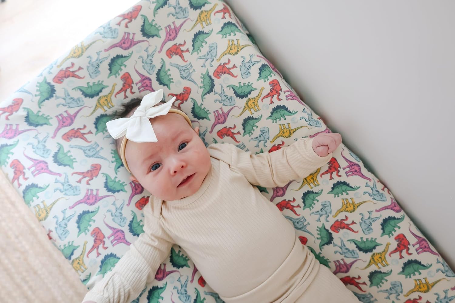 Copper Pearl Premium Knit Changing Pad Cover : Soft, Stylish, and Universal Fit for All Standard Diaper Changing Pads, Trendy Design Changing Pad Covers, Dinosaurs of Jurassic Park