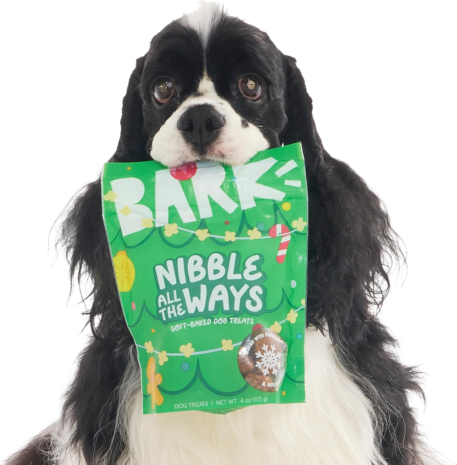 Barkbox O’Christmas Tree & Treat Set – Durable Treat-Dispensing Rubber Dog Toy with Pumpkin Treats – Fun Stocking Stuffer for Strong Chewers (Pack of 2)