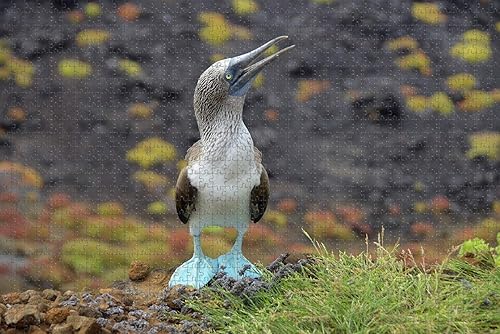 Miniatura 8 de Dubuque Iowa USA Rompecabezas para adultos 1000 piezas de madera regalo de viaje recuerdo