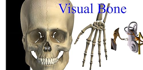 Visual Bones