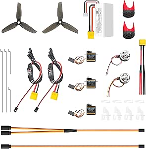 HAWK'S WORK Avion RC à 2 Canaux, Avion RC Prêt à Voler, Avion
