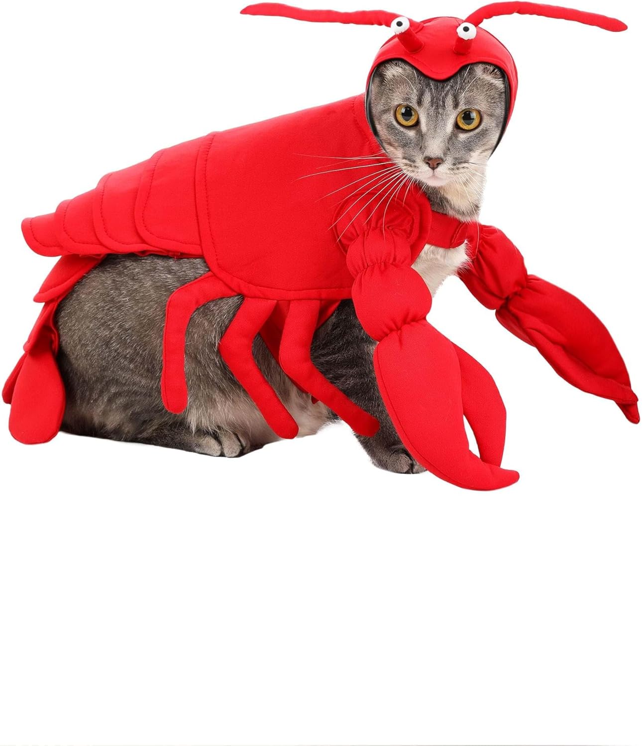 Lobster Dog Costume - One-Piece Costume with Attached Claws and Headpiece, Hook and Loop Fastener XL