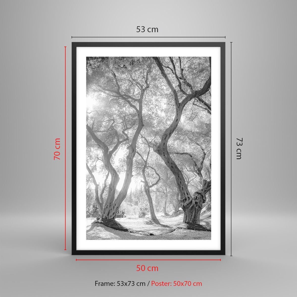 ARTTOR Poster Wandbild Kunstdruck 50x70cm Botanik Schwarz-Weiß - 5354 - P2B | Wald Winter Bäume Vertikal mit schwarzem Rahmen Wohnzimmer Schlafzimmer Küche Büro Wanddeko Kunstposter ARTTOR
