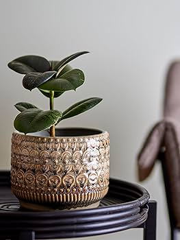 Amazon | Bloomingville(ブルーミングヴィル) グレイズフラワー