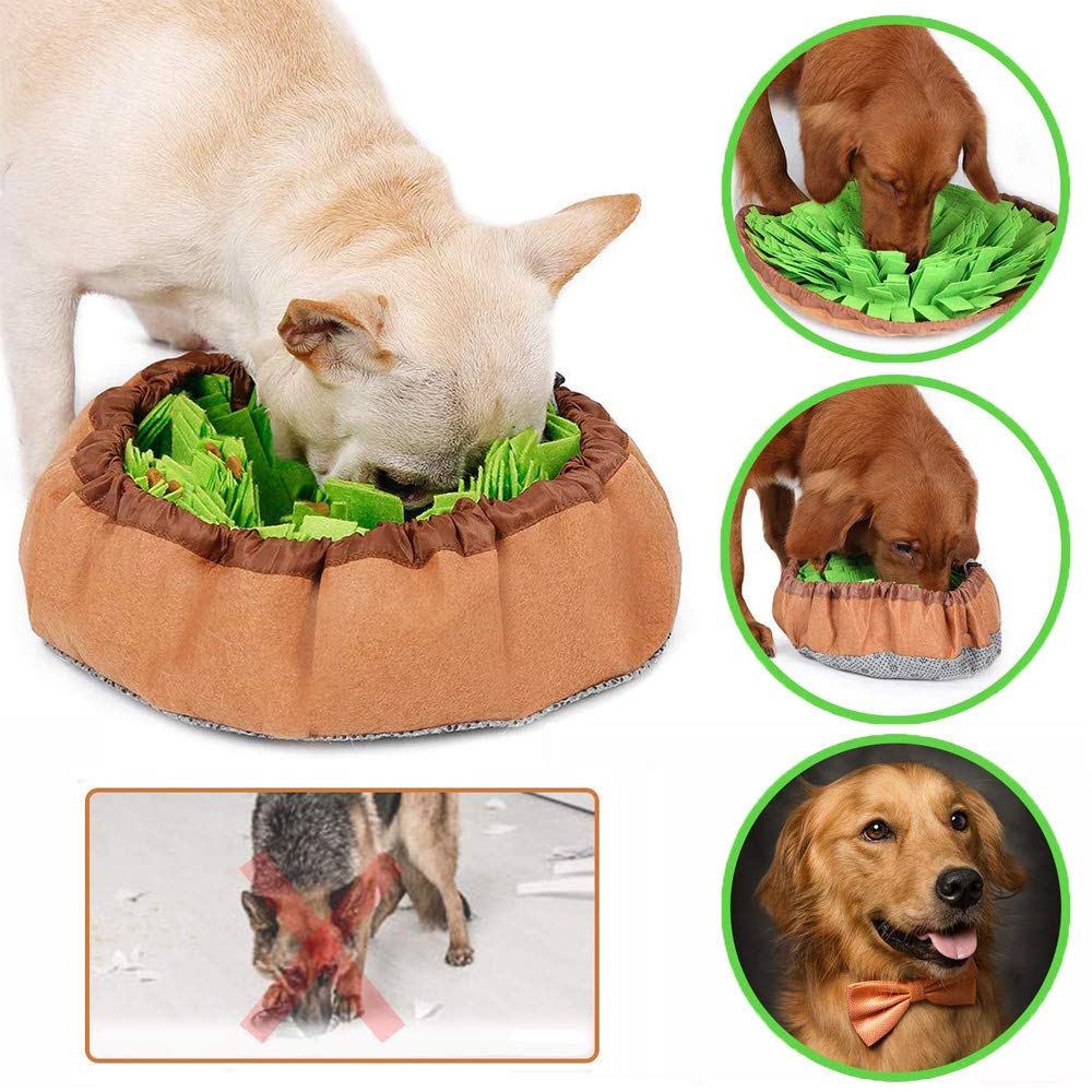 Amazon | Gifty 2WAY 犬 ノーズワーク マット 直経48cm ドッグ 嗅覚