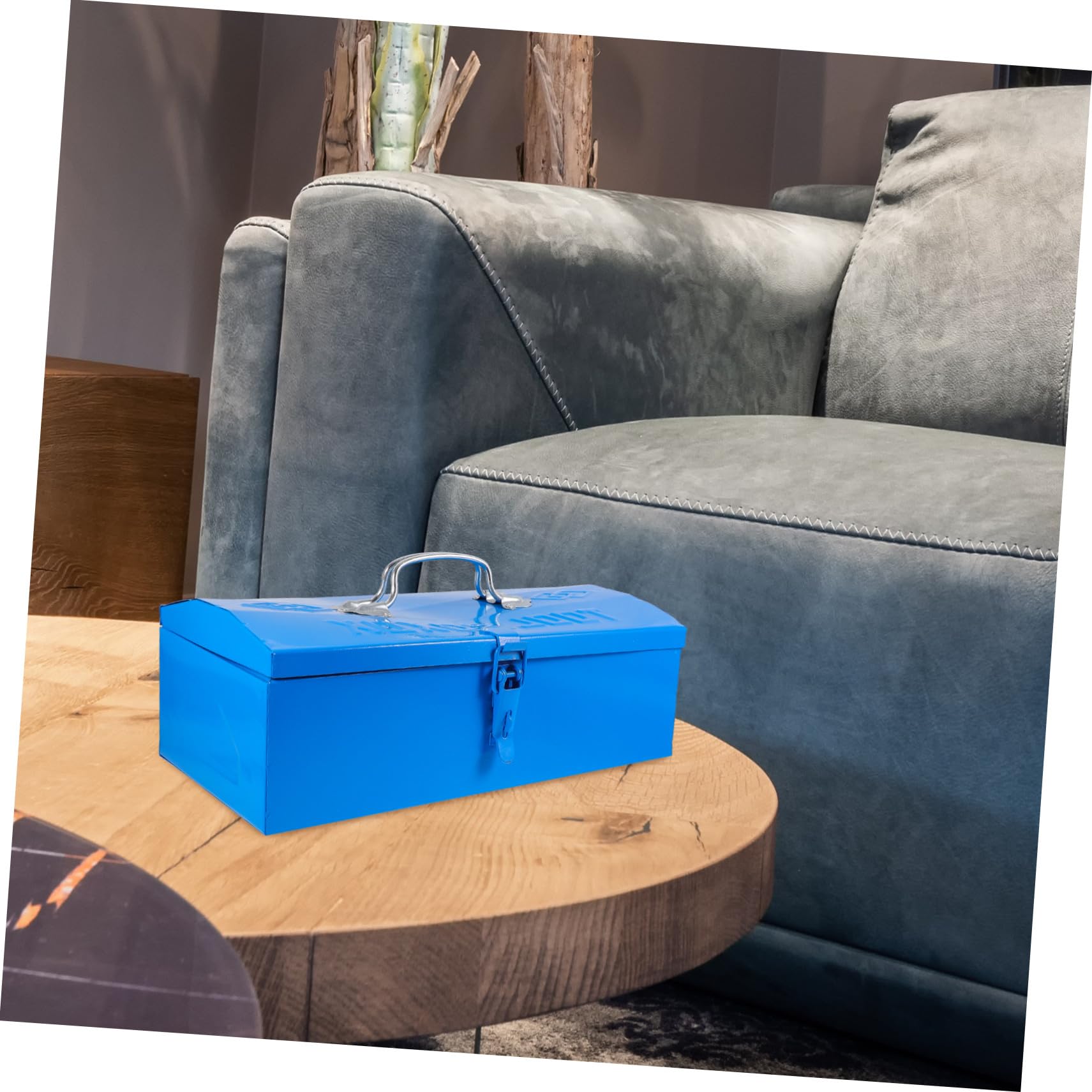 Cassetta Attrezzi in Ferro Blu, Organizer Portatile a Livello | Garage e Interni, Struttura Poco Deformabile, Contenitore per Utensili e Piccoli Componenti
