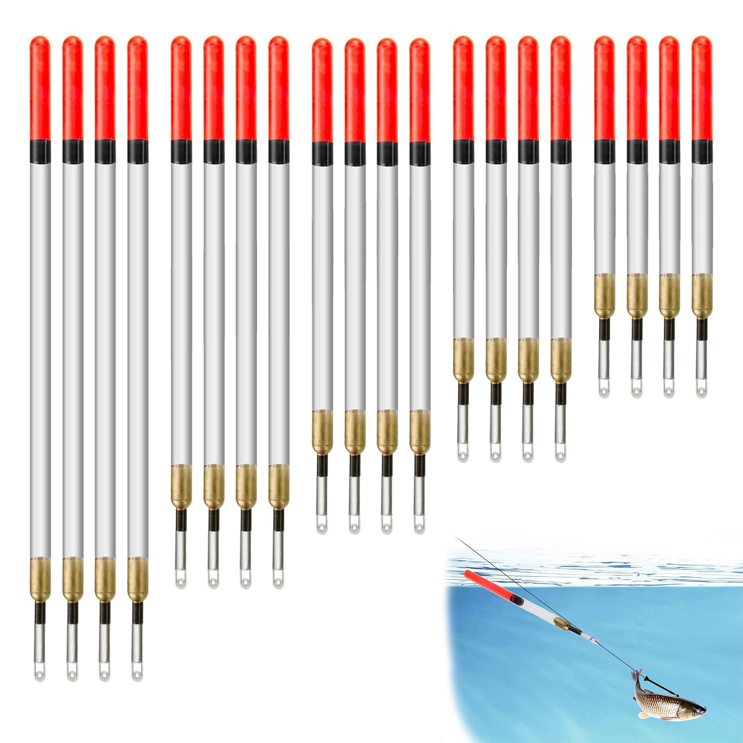 Ezranova 20 Pcs Waggler Fishing Floats Set 5 Sizes 11/13/15/17/19 cm Straight Insert Clear Fishing Floats Tackle Accessories for Stillwater & Running Water