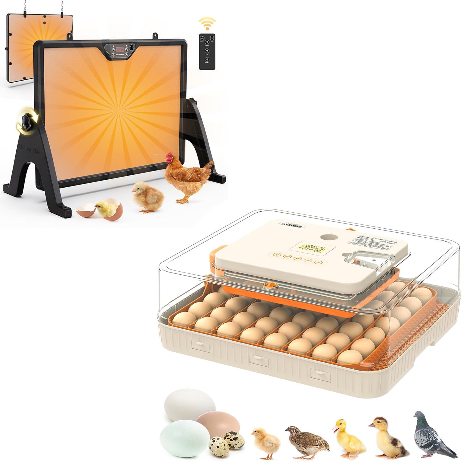 56 Eggs Incubator with Auto Turner & 16 x 12 Inch Dual-Sided Chicken Coop Heater Bundle for Chicken Quail Parrot Poultry Birds