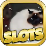 This app is for entertainment purposes only!