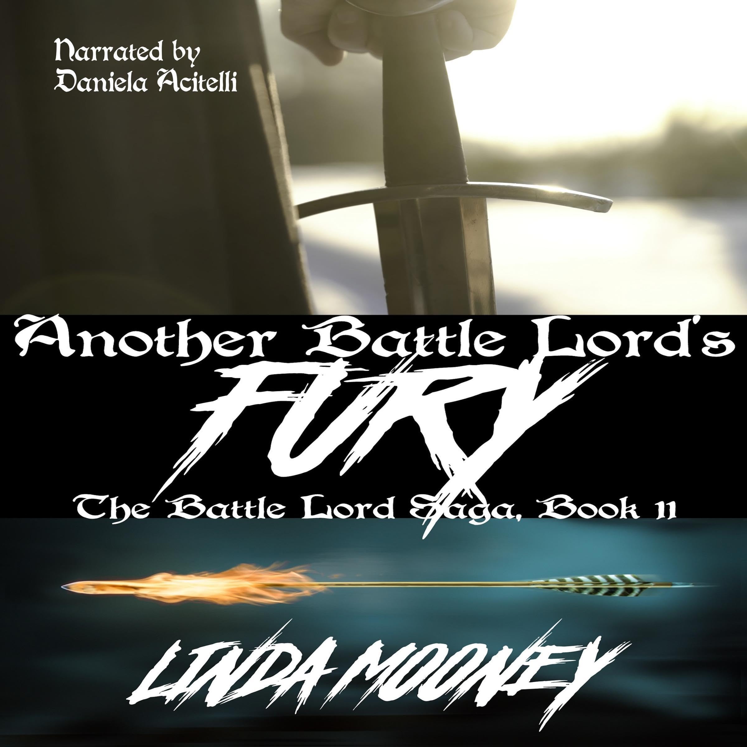 Cover art for Another Battle Lord's Fury