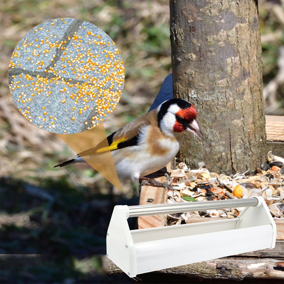 Distributeur de Nourriture pour Oiseaux 2 Pièces en Acier Inoxydable et Plastique Capacité Élevée pour Perruches et Calopsittes Usage Extérieur
