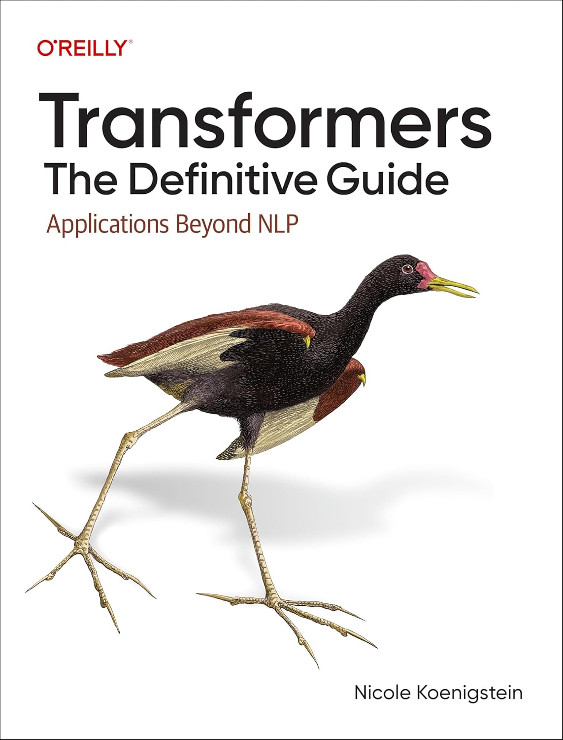 Transformers: The Definitive Guide: Applications Beyond NLP      1st Edition