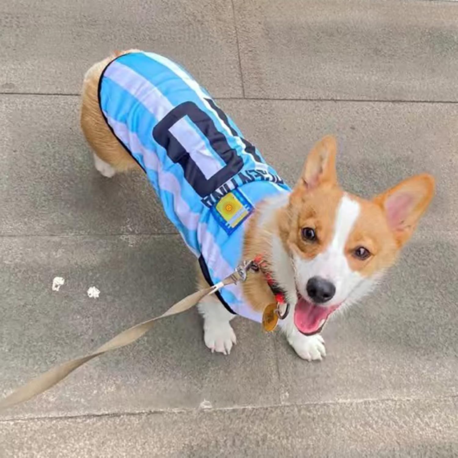 GabeFish Dog World Cup T Shirt Pets Football Jersey Sports Soccer National Team Vest Cat Summer Cool Clothes Apparel Argentina Medium